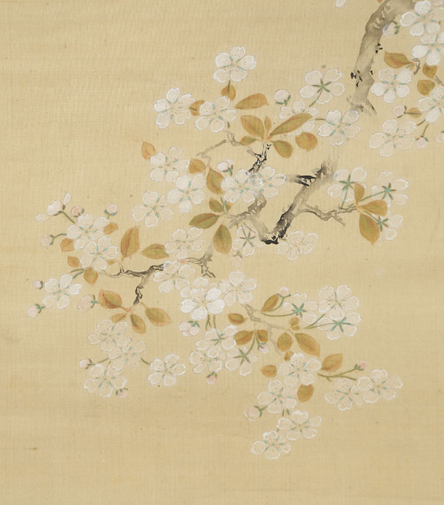 Birds on a Cherry Blossom in Fog｜Collection｜Watanabe Japanese 