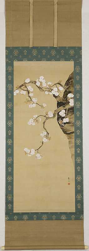 九重桜花図