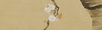 九重桜花図