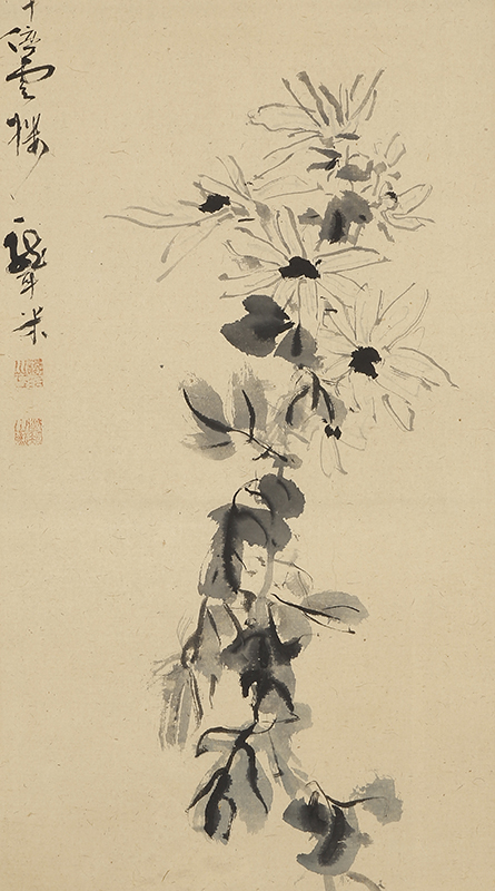 Chrysanthemum (September 9, 1833）