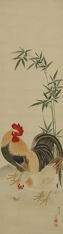 竹鶏　薔薇兎