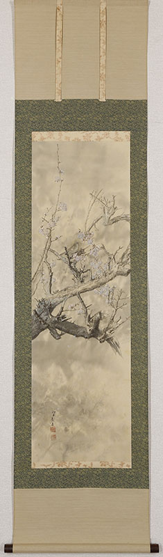 Bush Warbler in Plum Blossoms