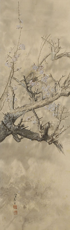 Bush Warbler in Plum Blossoms