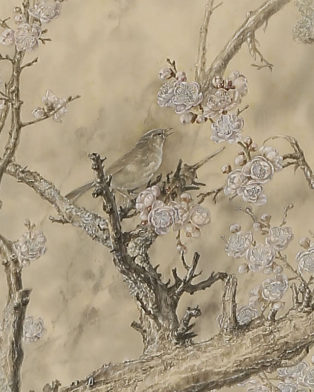 Bush Warbler in Plum Blossoms