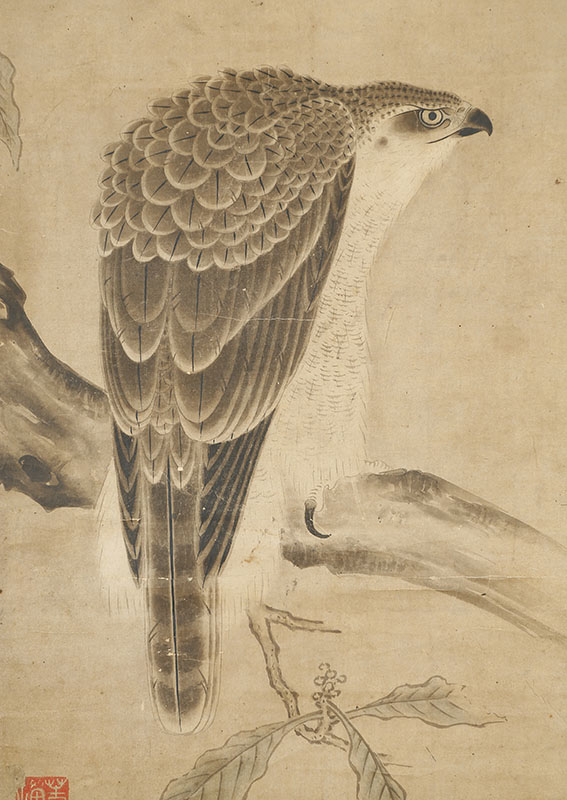 Buddha and Falcons