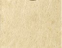 Chrysanthemum with self-inscription