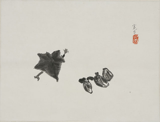 花胡瓜と蕗の苳
