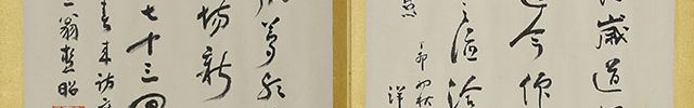 Calligraphy Album (2 vol)