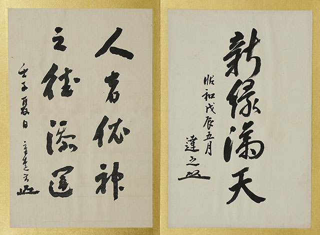 Calligraphy Album (2 vol)