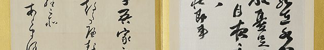 Calligraphy Album (2 vol)
