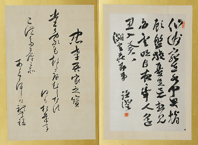 Calligraphy Album (2 vol)