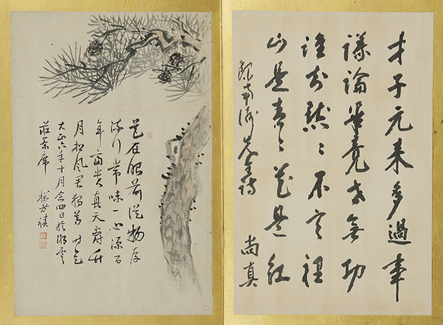 Calligraphy Album (2 vol)