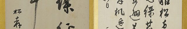Calligraphy Album (2 vol)