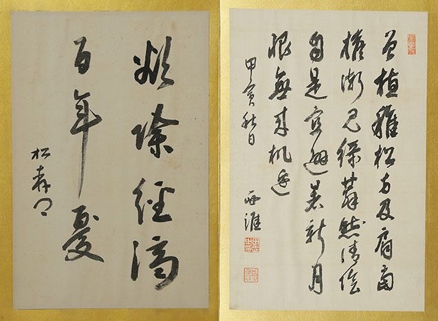 Calligraphy Album (2 vol)