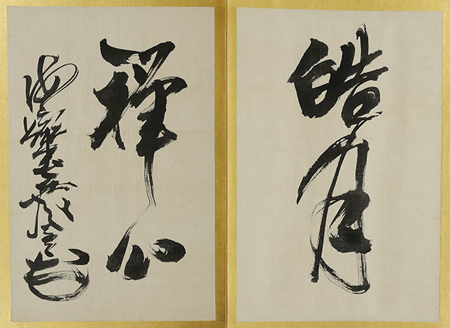 Calligraphy Album (2 vol)