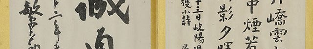 Calligraphy Album (2 vol)
