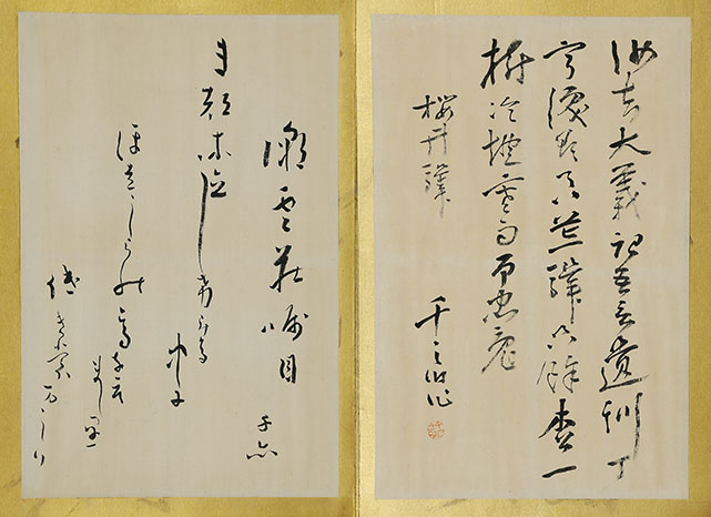 Calligraphy Album (2 vol)
