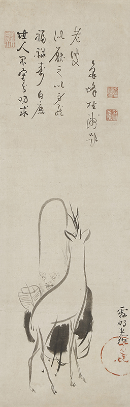 白鹿寿老図