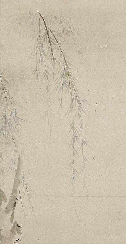 Cicada and Willow