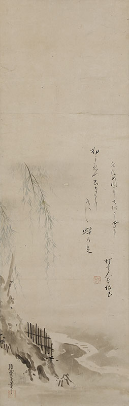 Cicada and Willow