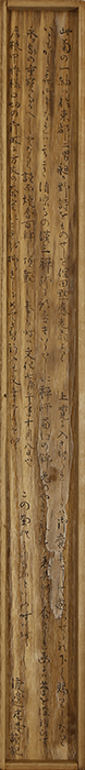 Chrysanthemum with self-inscription