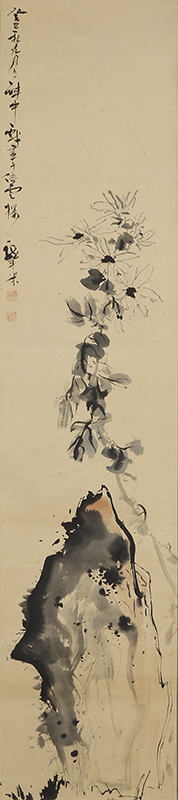 Chrysanthemum (September 9, 1833)