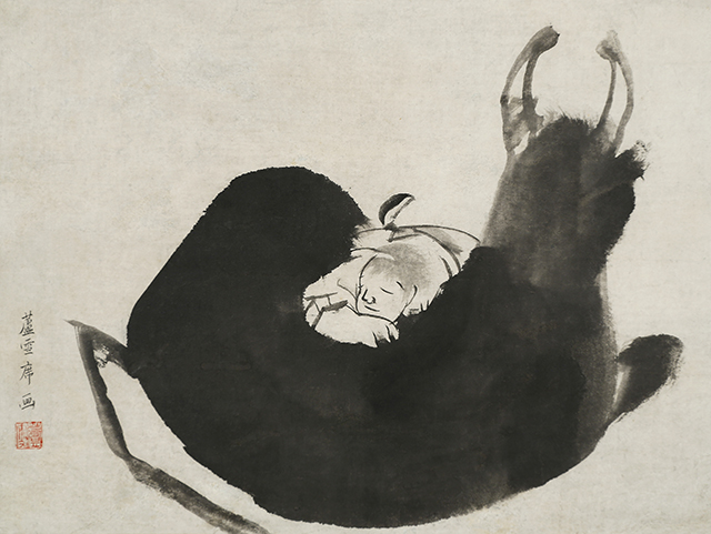 Boy sleeping on a Bull