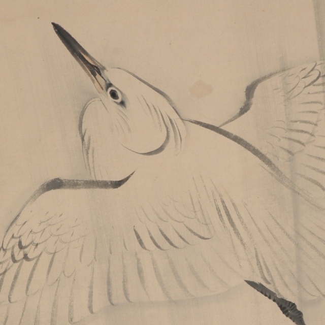 A White Heron Flying in the Rain
