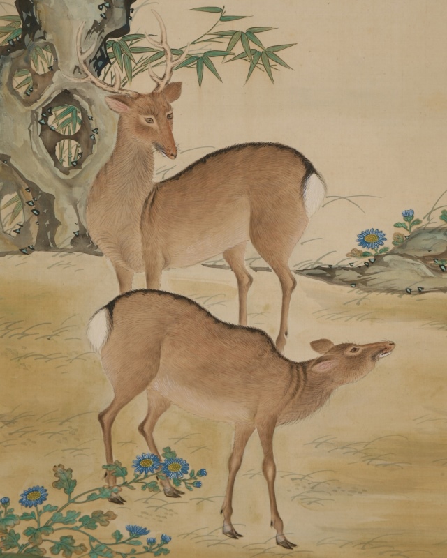 Twin Deer