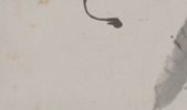 Calligraphy