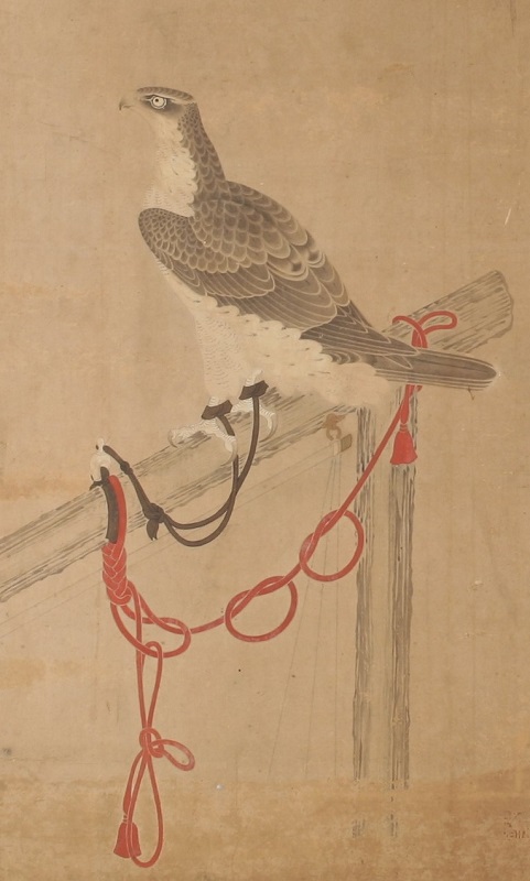 Falcons