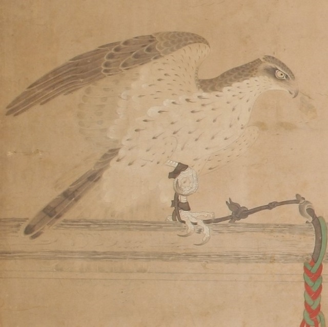 Falcons