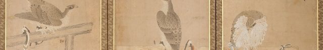 Falcons