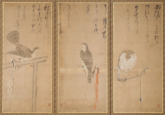Falcons