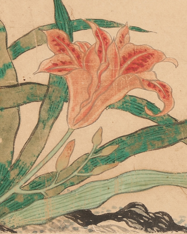 Flowers and a Incect