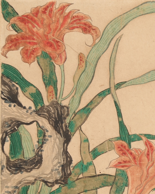 Flowers and a Incect