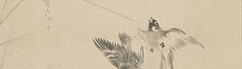 Birds and Rice Stalk