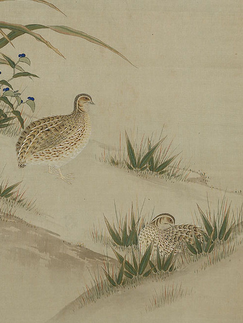 粟鶉図