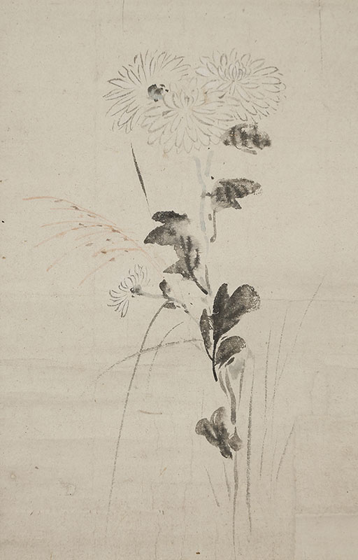 Chrysanthemum with self-inscription
