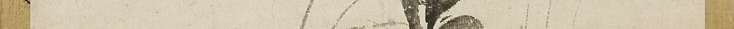 Chrysanthemum with self-inscription