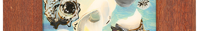 Seashells (1964)
