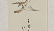 雁ニ燕図自画賛「名月や草のあらしは樹にふかす」