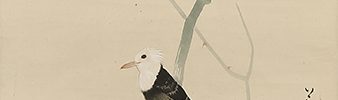 Bird and Rose
