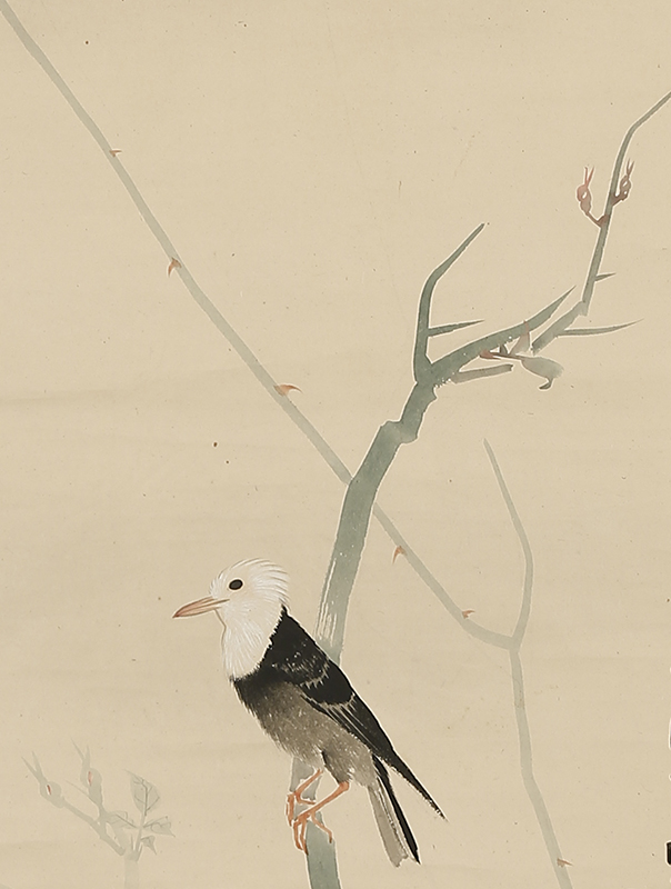 Bird and Rose