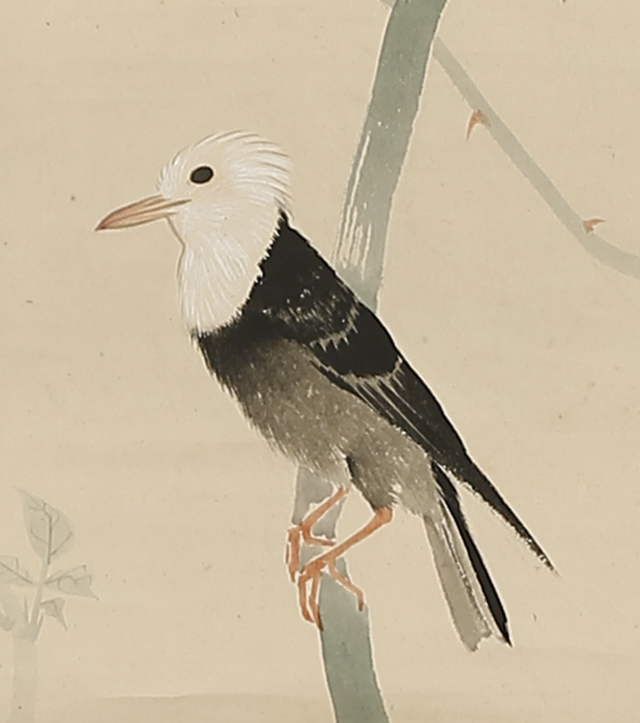 Bird and Rose