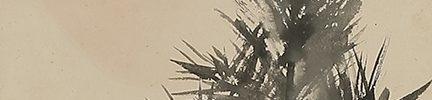 Young Pine at Sunrise, Calligraphy, Rock and Mushrooms