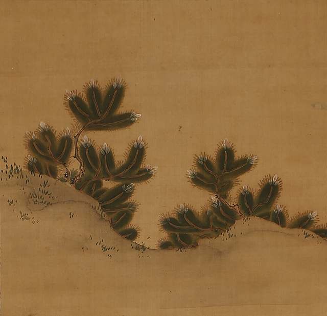 Pine Trees and Cranes