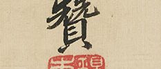 Tortoise