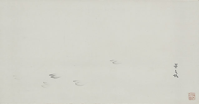 Deer's Footprints
