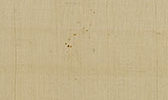 Calligrahpy